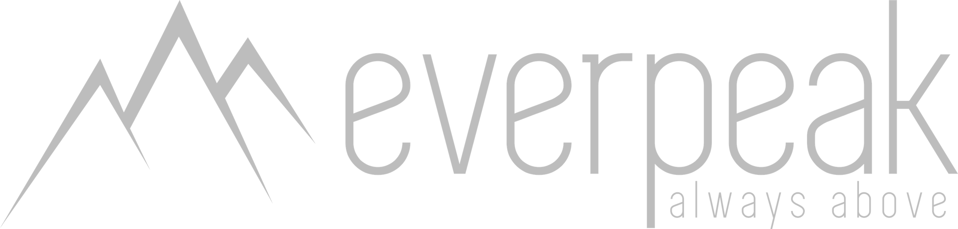 Logo Everpeak